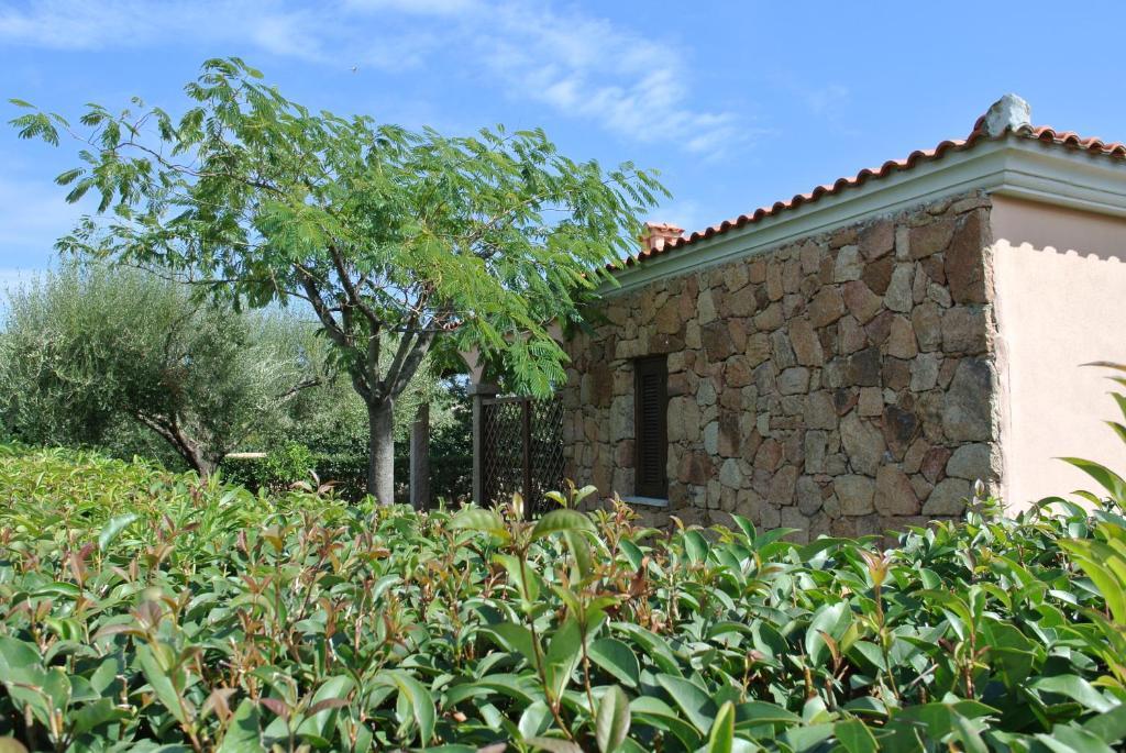 Case Vacanza Fenicotteri San Teodoro  Exterior photo